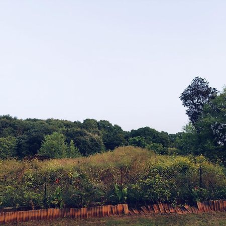 Laforesta By Mahabaleshwar Stay エクステリア 写真