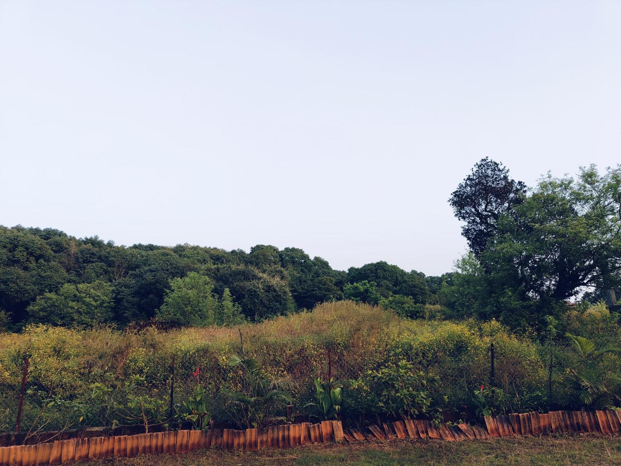 Laforesta By Mahabaleshwar Stay エクステリア 写真